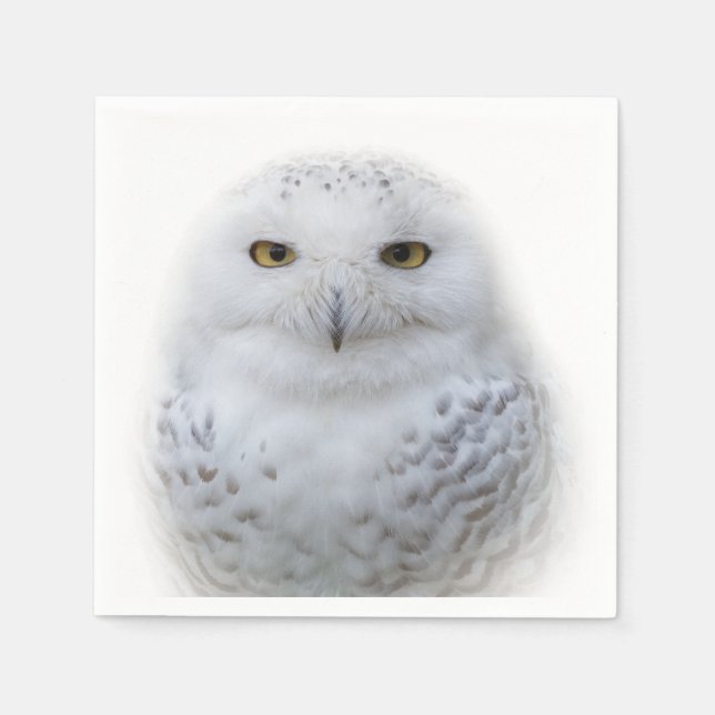 Beautiful, Dreamy and Serene Snowy Owl Napkins (Front)