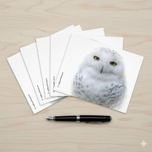 Beautiful, Dreamy and Serene Snowy Owl Photo Print