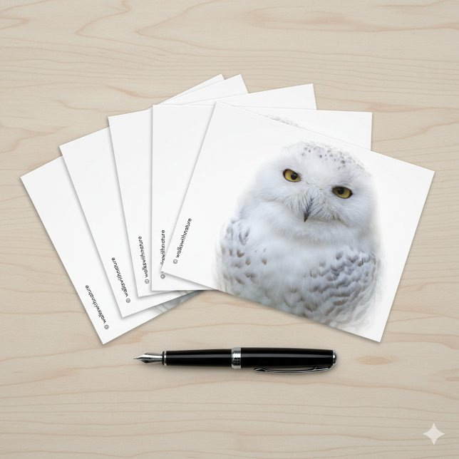 Beautiful, Dreamy and Serene Snowy Owl Photo Print (Snowy Owl Postcard Cover Photo 1)