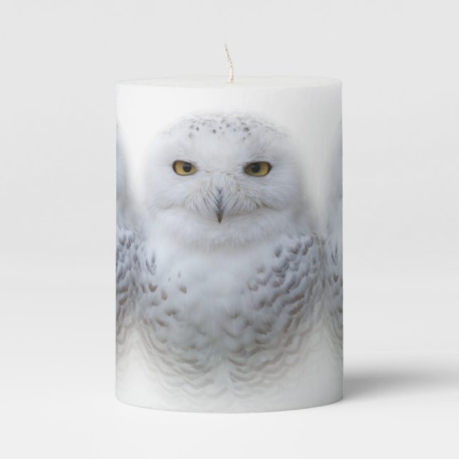 Beautiful, Dreamy and Serene Snowy Owl Pillar Candle (Front)
