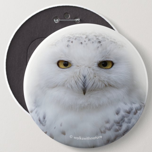 Beautiful, Dreamy and Serene Snowy Owl Pinback Button (Front & Back)