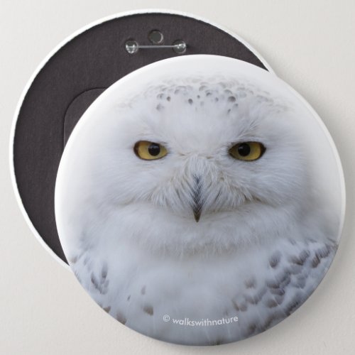 Beautiful Dreamy and Serene Snowy Owl Pinback Button