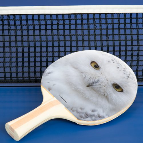 Beautiful Dreamy and Serene Snowy Owl Ping Pong Paddle