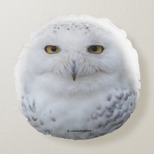 Beautiful Dreamy and Serene Snowy Owl Round Pillow