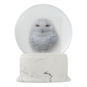 Beautiful, Dreamy and Serene Snowy Owl Snow Globe