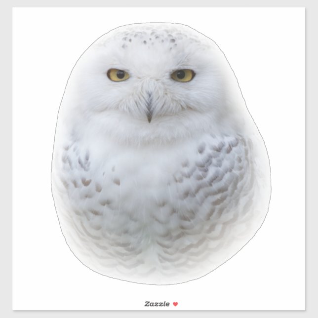 Beautiful, Dreamy and Serene Snowy Owl Sticker (Sheet)