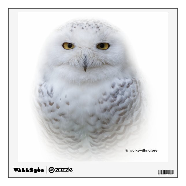 Beautiful, Dreamy and Serene Snowy Owl Wall Sticker (Front)