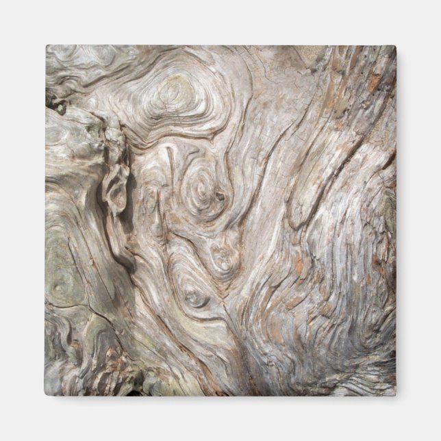 Beautiful Driftwood Nature's Artwork Magnet (Front)