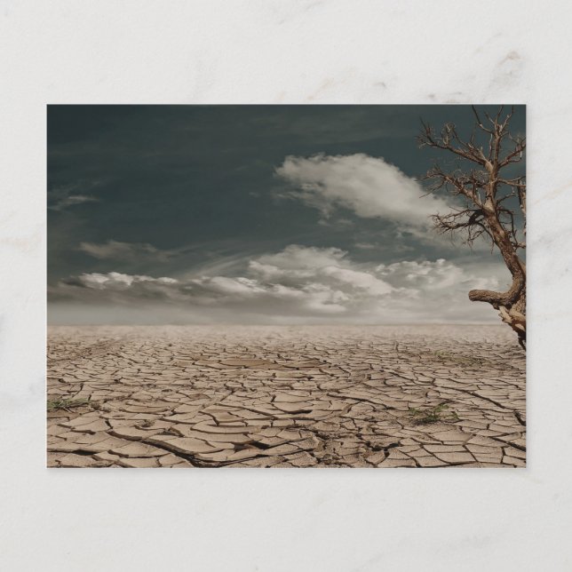 Beautiful drought desert scenery postcard (Front)