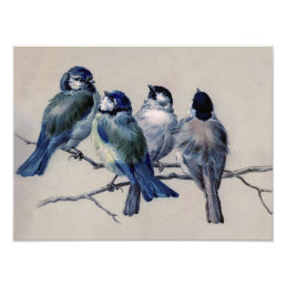 Beautiful Dusty Blue Gray Birds on a Branch Photo Print