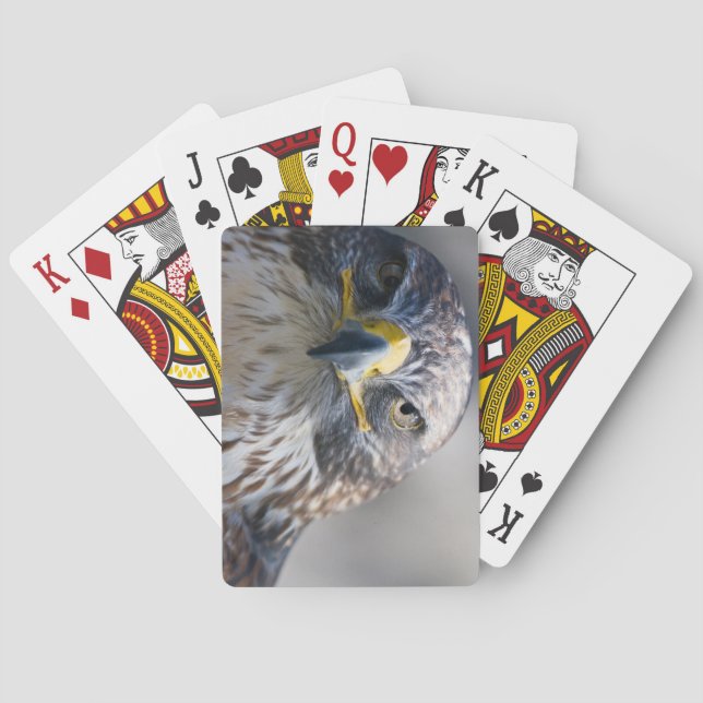 Beautiful Eagle Deck of Playing Cards (Back)