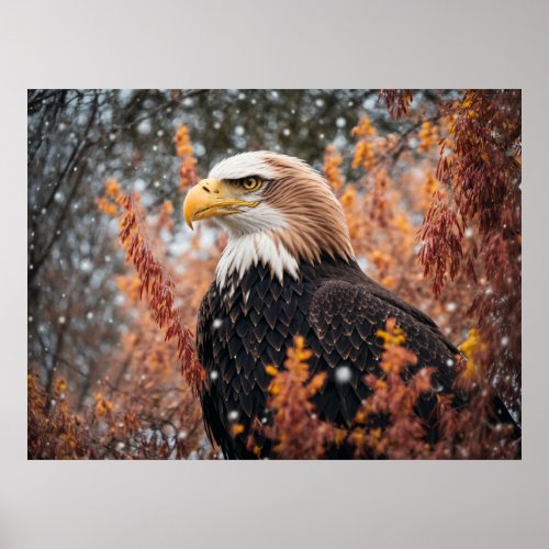 Beautiful Eagle Sitting on the Ground in the Snow Poster