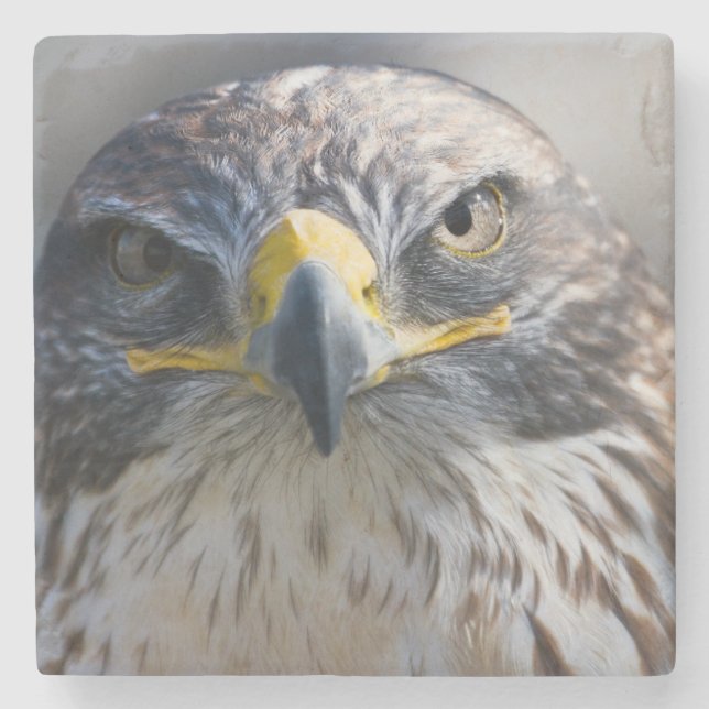 Beautiful Eagle Stone Coaster (Front)