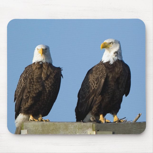 Beautiful Eagles Mouse Pad (Front)