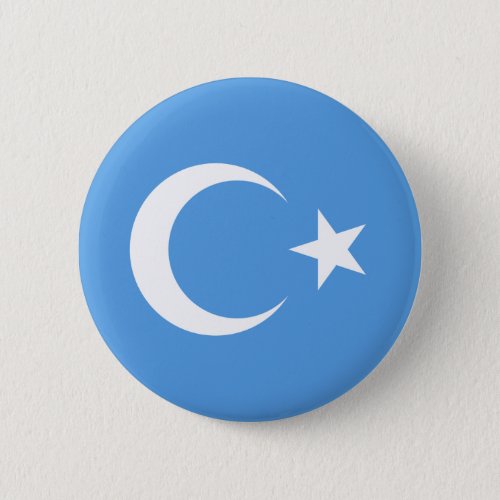 Beautiful East Turkestan Xinjiang Flag Button