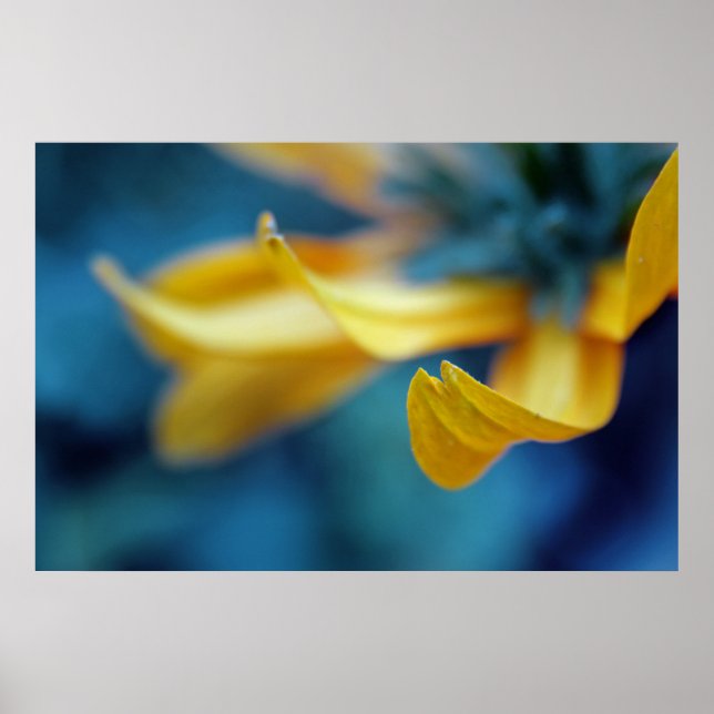 Beautiful Elegant Abstract Yellow Coneflower Petal Poster (Front)