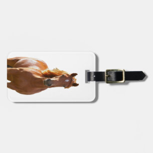 Beautiful Elegant Brown Horse Luggage Tag