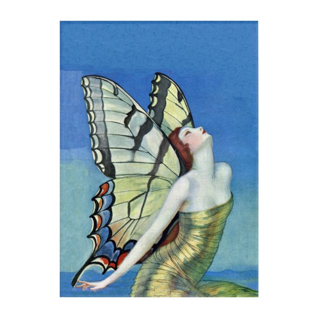 Beautiful Elegant Fairy Monarch Butterfly Wings Acrylic Print (Front)