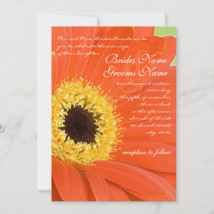 Beautiful Elegant Gerber Daisy Wedding Invitation
