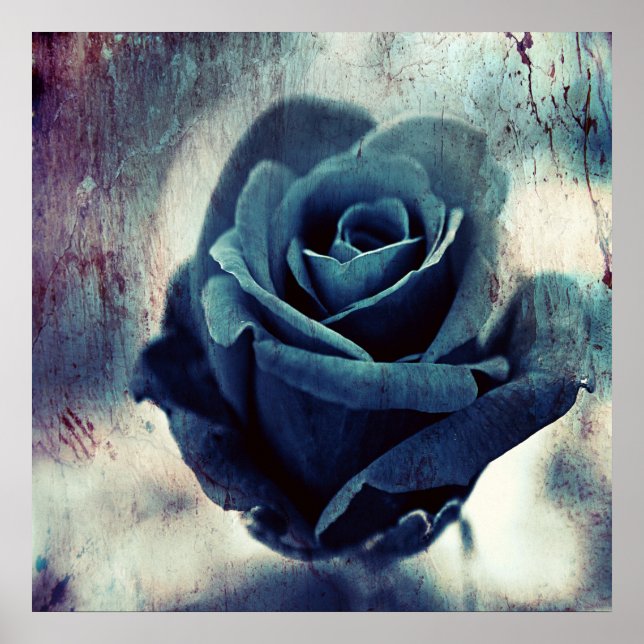 Beautiful Elegant Magical Artistic Blue Rose Poster (Front)
