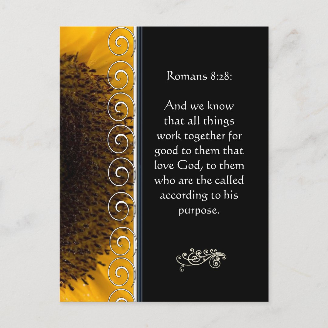 Beautiful Elegant Orange Rose Christian Encourage Postcard | Zazzle