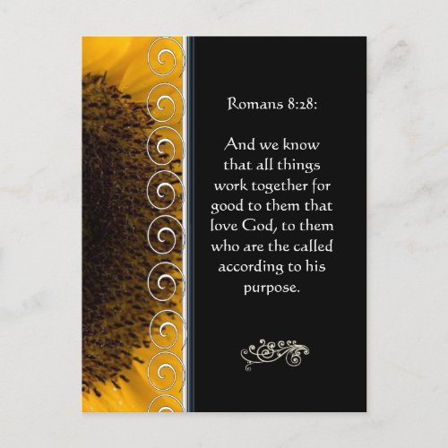 Beautiful Elegant Orange Rose Christian Encourage Postcard