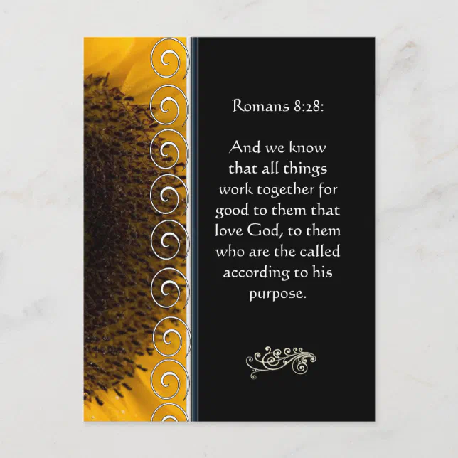Beautiful Elegant Orange Rose Christian Encourage Postcard | Zazzle