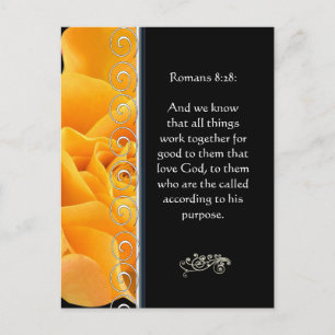 Beautiful Elegant Orange Rose Christian Encourage Postcard