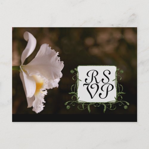 Beautiful Elegant White Orchid Response Invitation Postcard