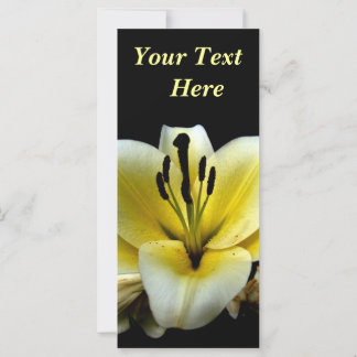 Beautiful Elegant Yellow on Black Flower