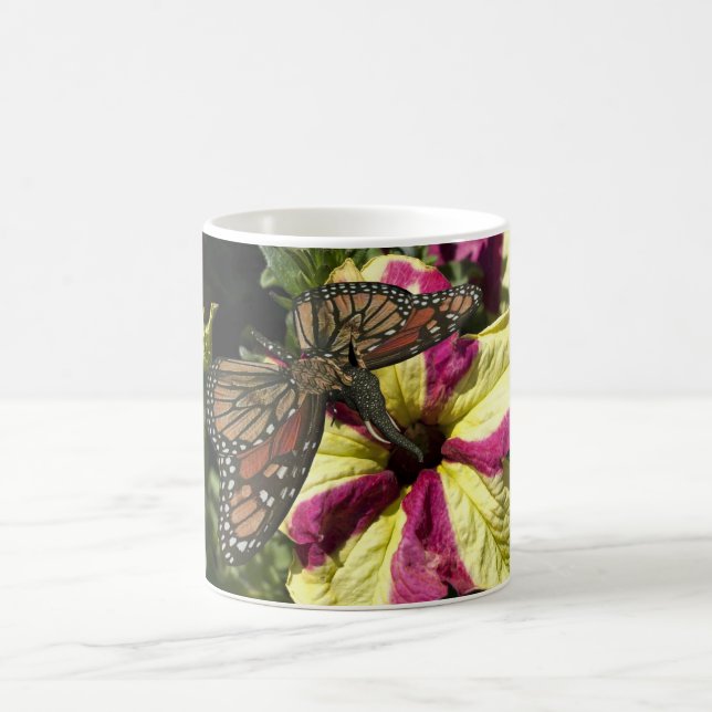 Beautiful Elephant Butterfly Coffee Mug (Center)