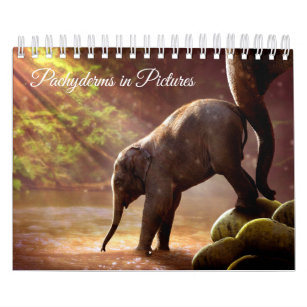 Beautiful Elephant Photographs Calendar