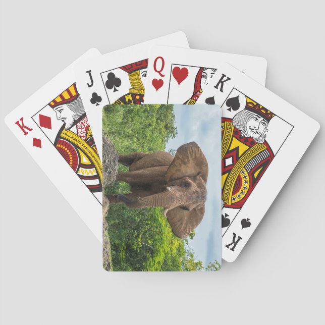 Beautiful Elephant Playing in the Grass Poker Cards (Back)