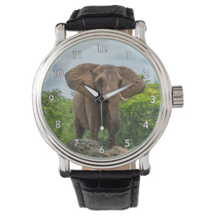 Beautiful Elephant Playing in the Grass Watch