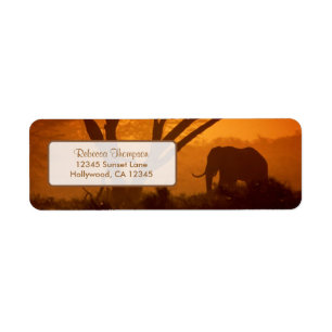 Beautiful Elephant Silhouette during Sunset Label