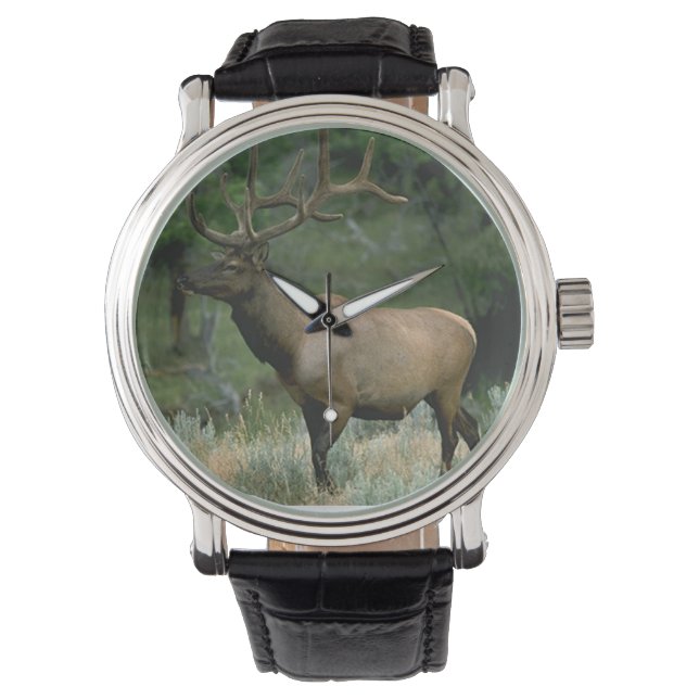 Beautiful Elk Watch (Front)