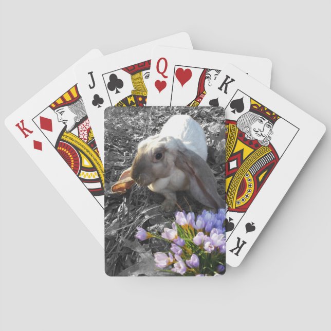 Beautiful English Lop with Flowers Poker Cards (Back)