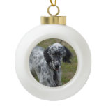 Beautiful English Setter Dog