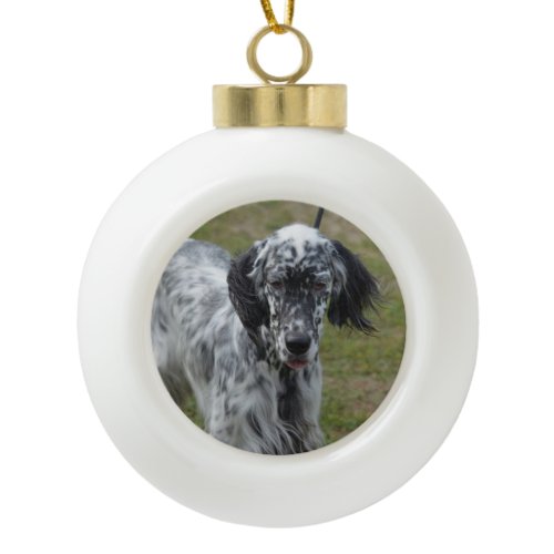 Beautiful English Setter Dog Ceramic Ball Christmas Ornament