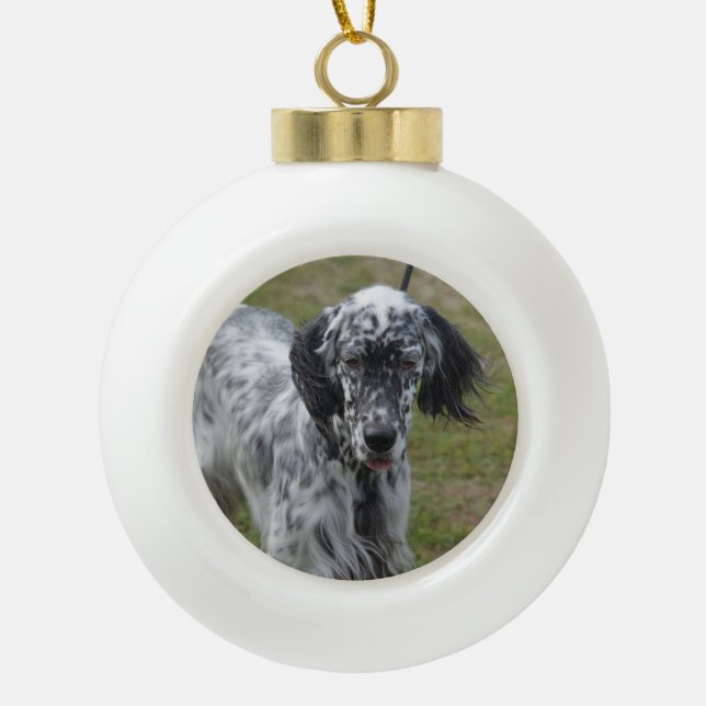 Beautiful English Setter Dog Ceramic Ball Christmas Ornament (Front)