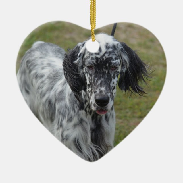 Beautiful English Setter Dog Ceramic Ornament (Front)