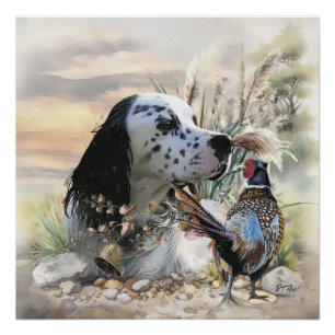 Beautiful English Setter with Pheasant , Art Poster