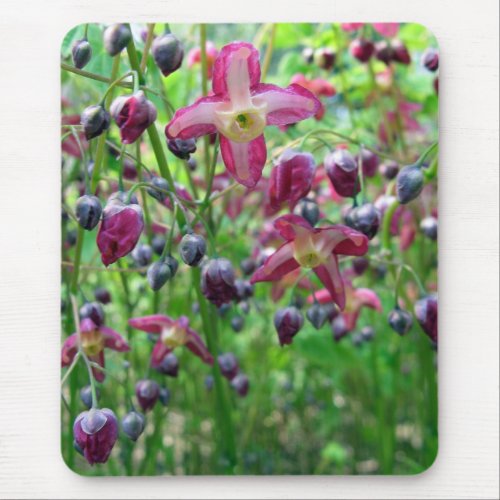 Beautiful Epimedium Flowers and Buds Spring Photo Mouse Pad