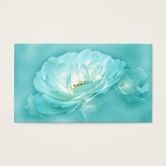 Beautiful Equine (Front)