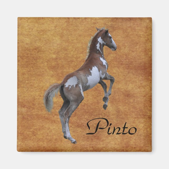 Beautiful Equines Horse-lover's Gift Magnet (Front)