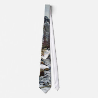 Beautiful Estes Park Colorado Winter Stream Tie