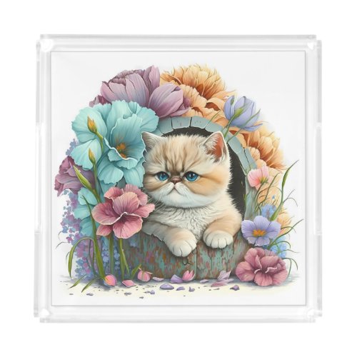 Beautiful Exotic Shorthair Kitten Graphic Print Acrylic Tray