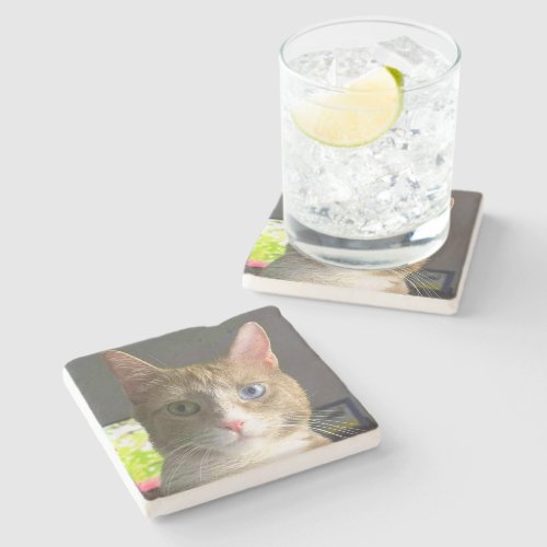 Beautiful Eyes Cat Stone Coaster