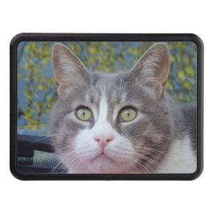 Beautiful Eyes  Hitch Cover 2" Receiver