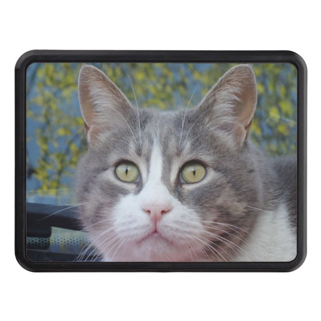 Beautiful Eyes  Hitch Cover 2" Receiver (Front)